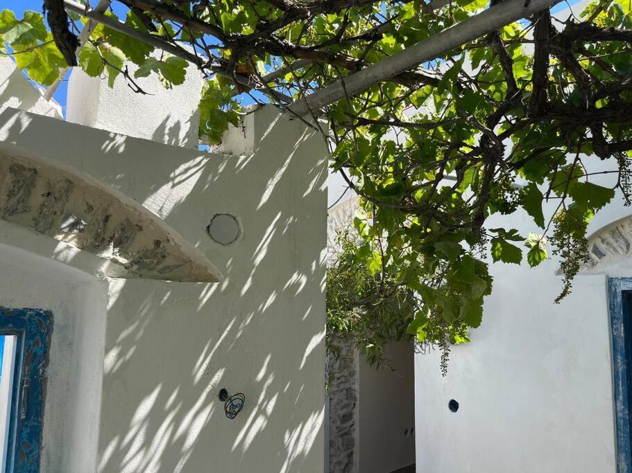 Dream House Little Villa - Amorgos Exteriér fotografie