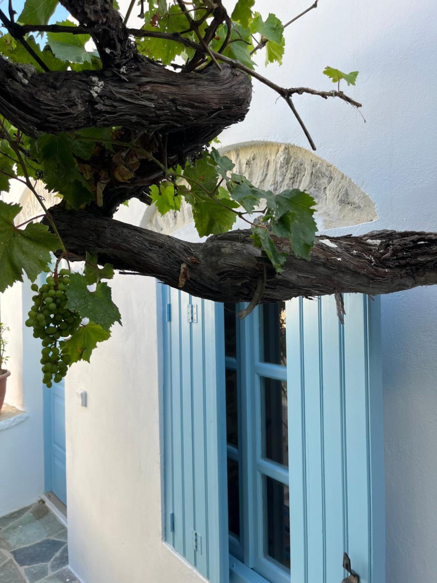 Dream House Little Villa - Amorgos Exteriér fotografie