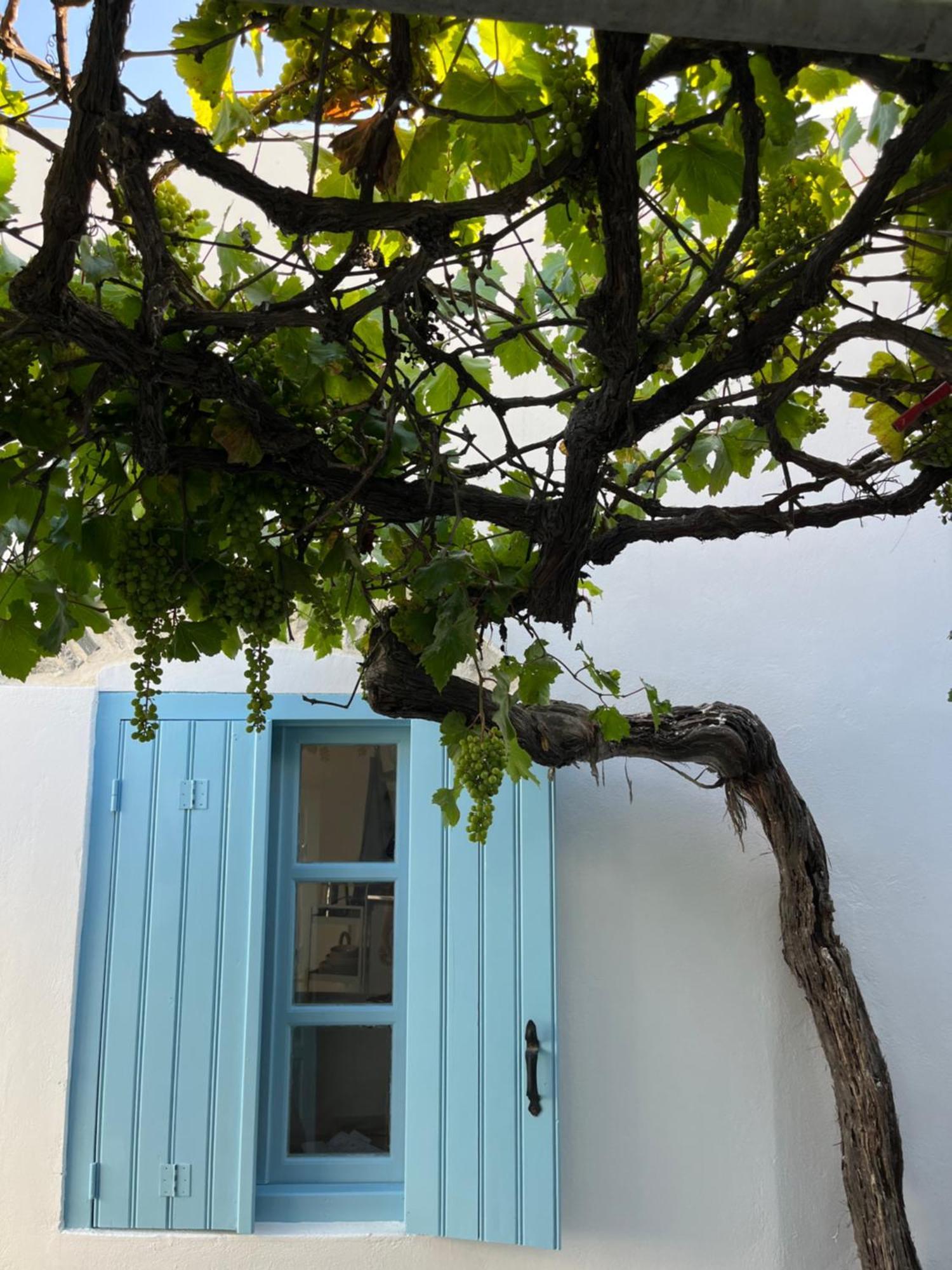 Dream House Little Villa - Amorgos Exteriér fotografie