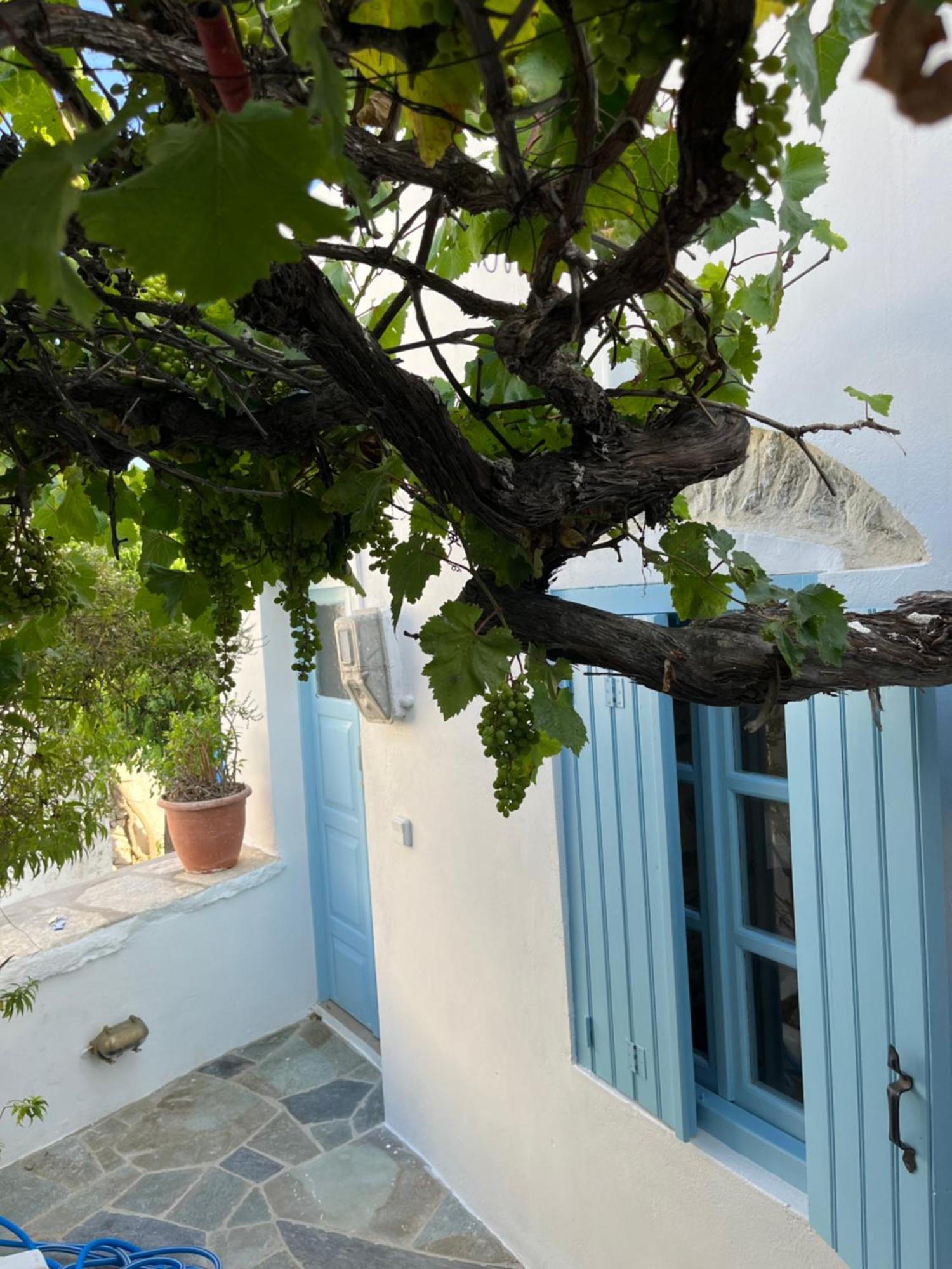 Dream House Little Villa - Amorgos Exteriér fotografie